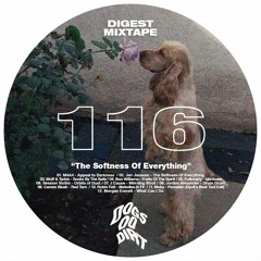 The Softness Of Everything (DDD's Digest Mixtape #116)