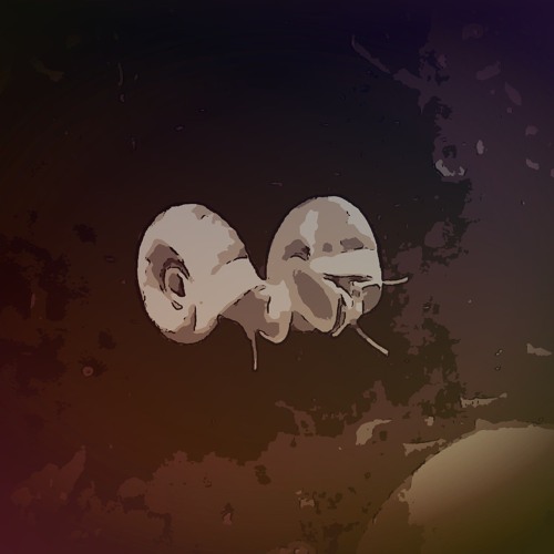 🐌 closer to the mirror image 🐌