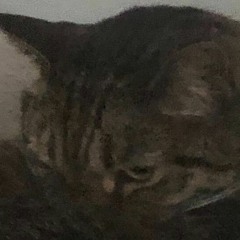 Galileo