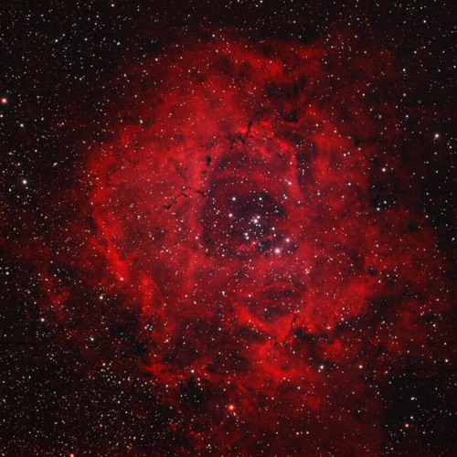 Janeret - Orbital