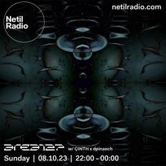 Netil Radio /w dpinaech