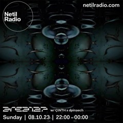 Netil Radio /w dpinaech