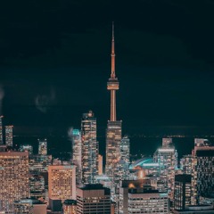 freestyle (2 years old)