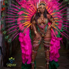 Madd Colors Carnival 2023 Powered By:HI-Tech Audio