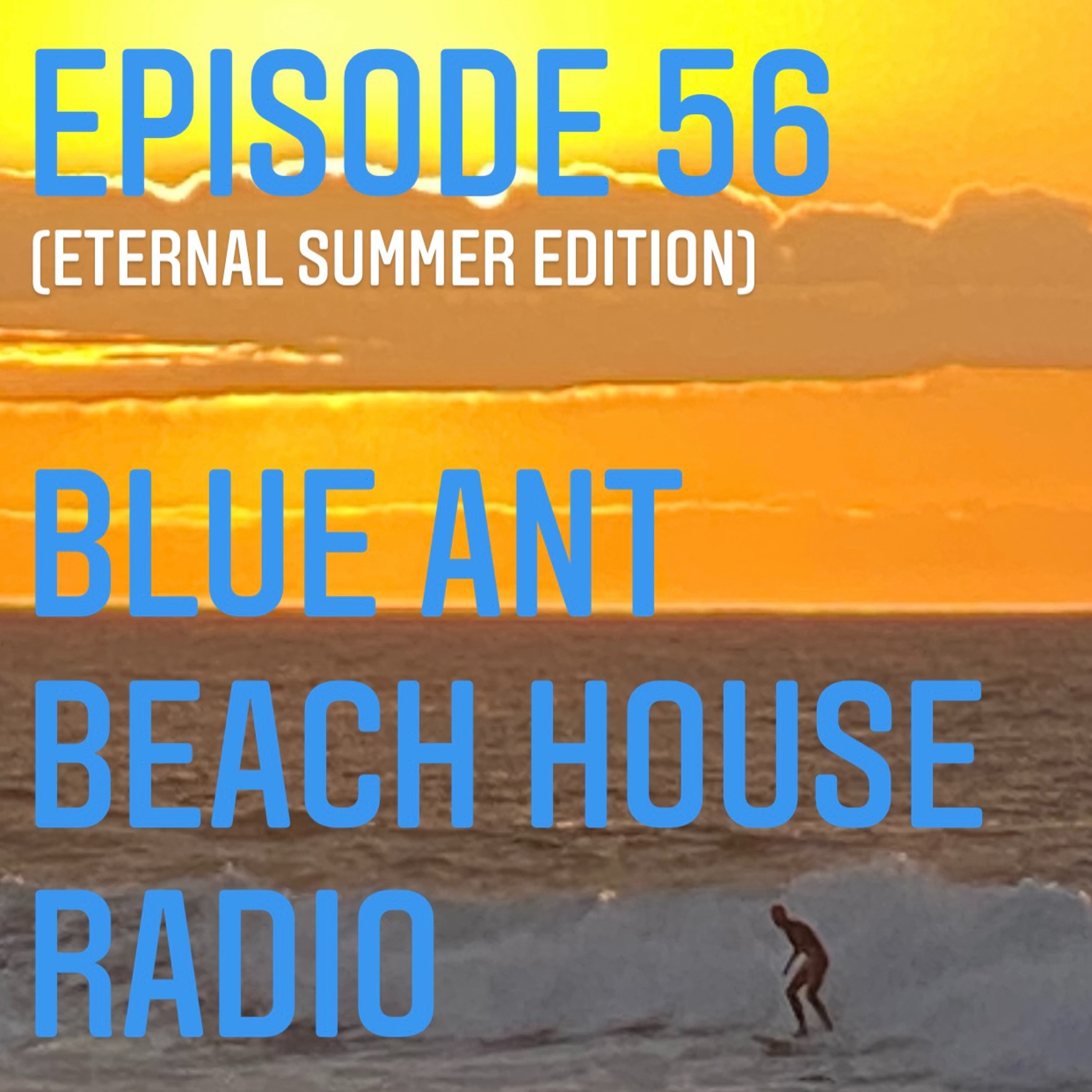 BlueAnt Beach House Radio