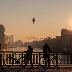 01 REC-2026-03-21 friends -5