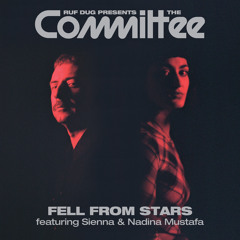 Fell From Stars (feat. Sienna & Nadina Mustafa)