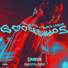 Goosebumps Remix