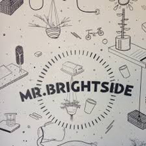 Mr. Brightside Remix (3lau x Runaway x Mr. Brightside ).m4a