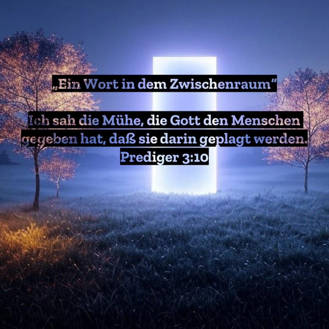 Prediger 3 Stream 31. Dezember 2024 (Altjahresabend) - „Ein Wort in dem ...