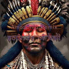 Amazônia Remix - Sounds Of Kali