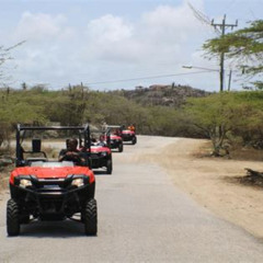 Review Special Price Aruba 2seater Utv Tour Adventure With Kini