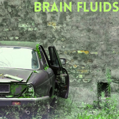 Brain Fluids