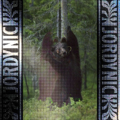 I Can't Bear The Bass Mix