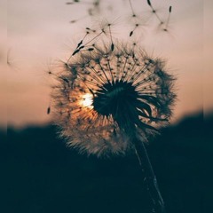 Last Breath - Ft Toise (Prodcross)