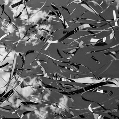 GUTS (Lil Keed) - EDIT