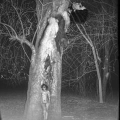 Strength, Courage & Wisdom (India.Arie)