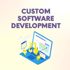 Advantages Of Custom Software Development In 2023
