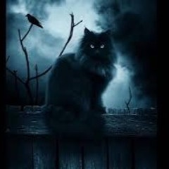 The Rhythm Of The Night 3