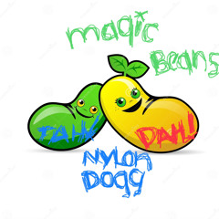 Magic Beans — 1.27.24 [NYLON DOGG]