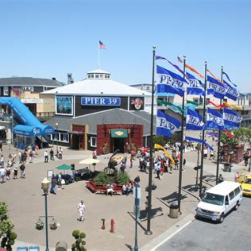 Best Things To Do At Pier 39 In San Francisco Tours Reviews
