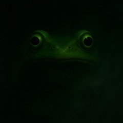 VÄLLO - Frogs R watchin'