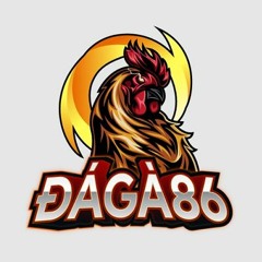 Đá Gà Trực Tiếp Thomo Hôm Nay - Trực Tiếp Đá Gà Campuchia