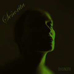 Señorita (Remix)