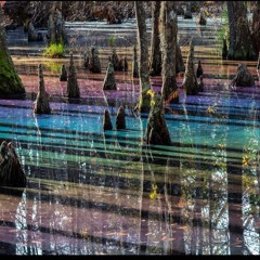 ~MADRÖNE'S~ Wake-n-Shake'n Morning Mixes Made in house Weekly. (Guaranteed fresh)