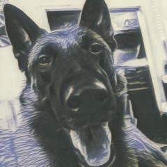 Jocelyn Powers (cover)