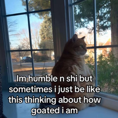 Palace - Krayzee DUB