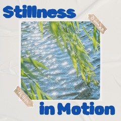 Dumaz - Stillness in Motion