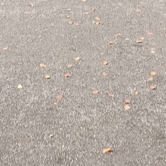 Zerotone - To the table