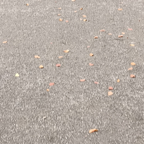 Zerotone - To the table