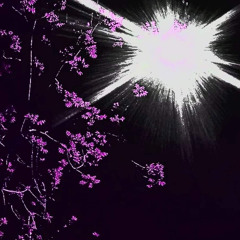 DIRTY, GASOLINE (FT #G3)