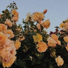 Senorita - Justin Timberlake baile funk mix( Mintae Cover)