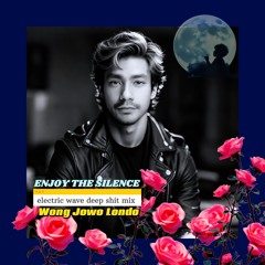 ENJOY THE SILENCE Electric deep wave retro club mix