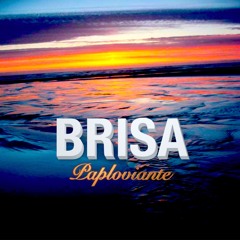 Brisa - Paploviante Open Collaboration Offer