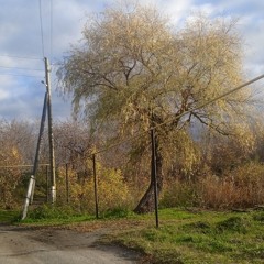 Яшникова - Вернуться