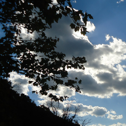 cloud9