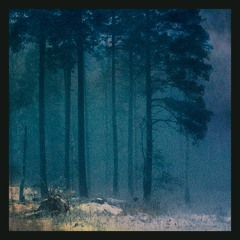 Something Worth Keeping