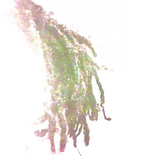 Trispns - JINX (prod.dowyy)