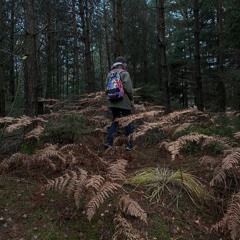 Blear Moon - Ambient Forms 04