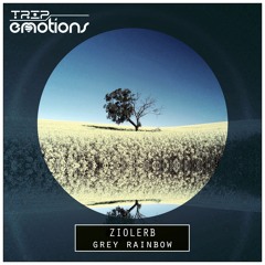 Ziolerb - Grey Rainbow