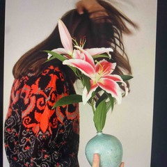 summer swallows. NFerryman Edits (2018)