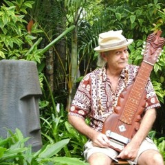 Adventures in Paradise steel guitar