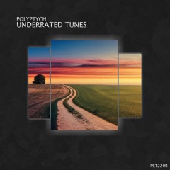 Underrated Tunes [Polyptych Bundles] (25 Tracks per $16,99)