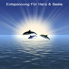Wellness Musik