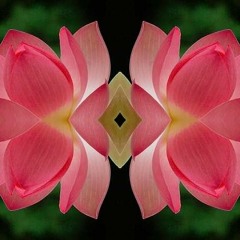 Digital Orient