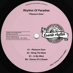 CRM16 // Rhythm Of Paradise - Pleasure Zone 12"